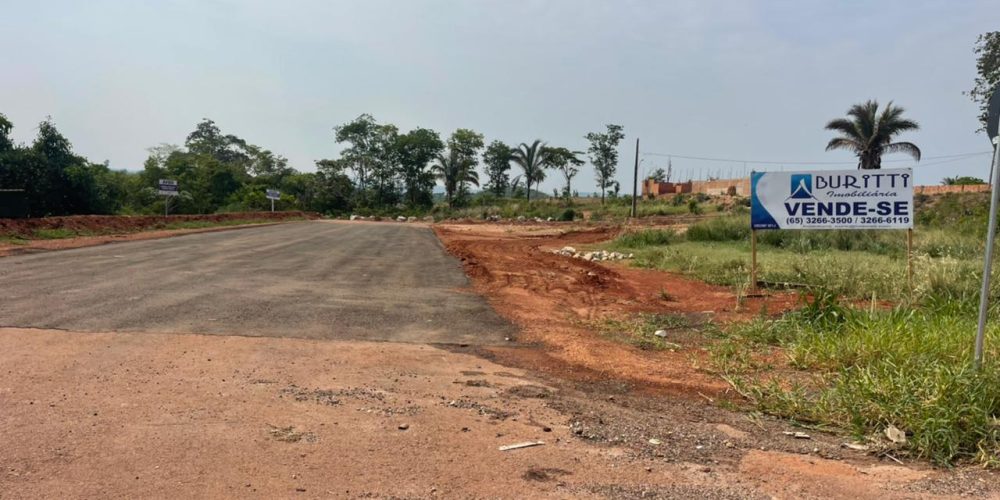 WhatsApp Image 2024-03-13 at 08.19.52